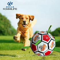 Interactive Dog Football Toy